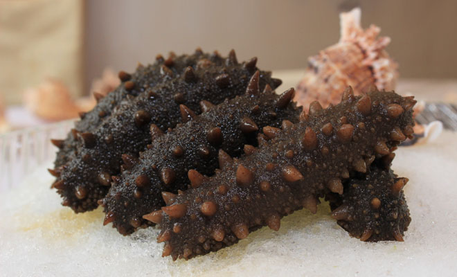 ���ɺͼ�ʳ����