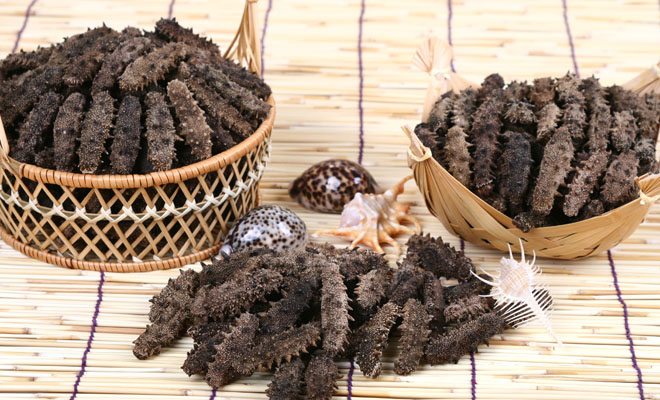 ���ɺ͵��ɺ���